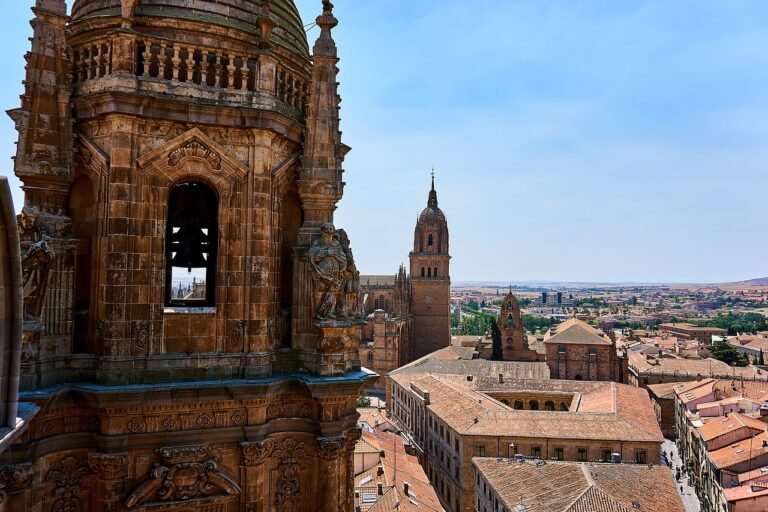 Información sobre las multas en Salamanca