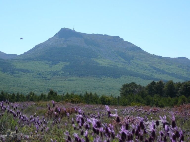 Mejora-y-adecuacion-de-22-areas-del-Parque-Natural-Las.jpg