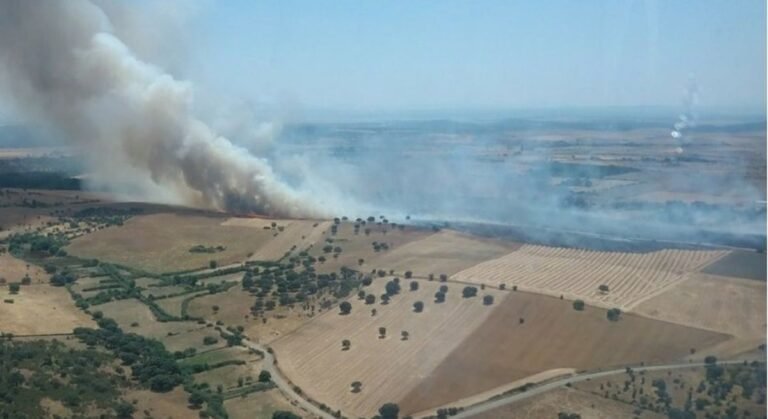 El-fuego-en-Castillejo-Salamanca-arrasa-casi-un-centenar-de.jpg