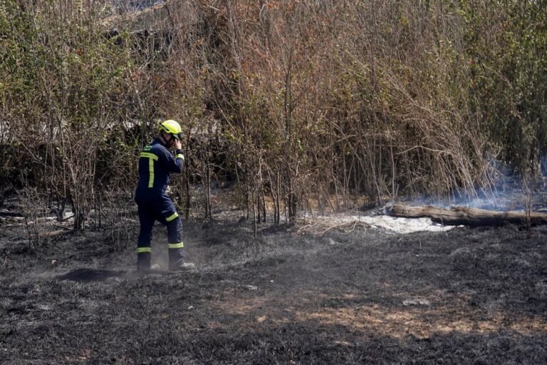 El-incendio-en-El-Payo-arrasa-con-mas-de-3500.jpg