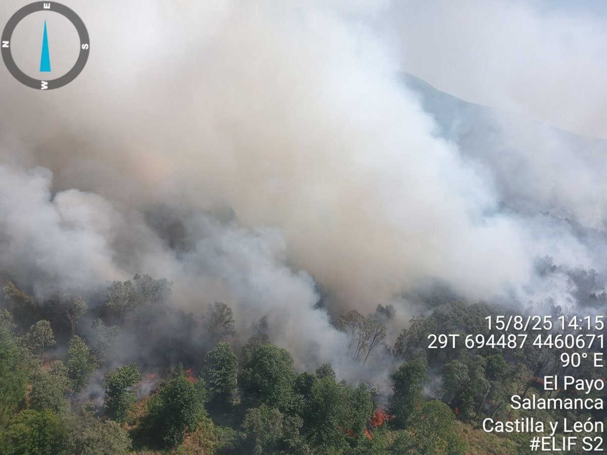 Elevan-a-gravedad-2-el-incendio-en-El-Payo-siguen.jpg