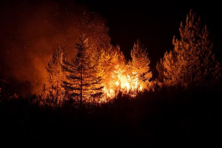 Incendio-de-gravedad-1-declarado-en-Moronta-Salamanca.jpg