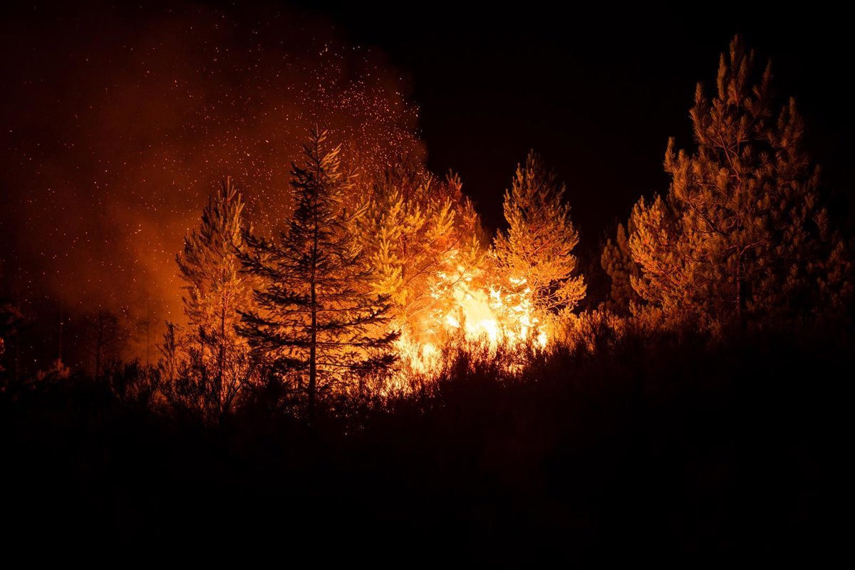 Incendio-de-gravedad-1-declarado-en-Moronta-Salamanca.jpg