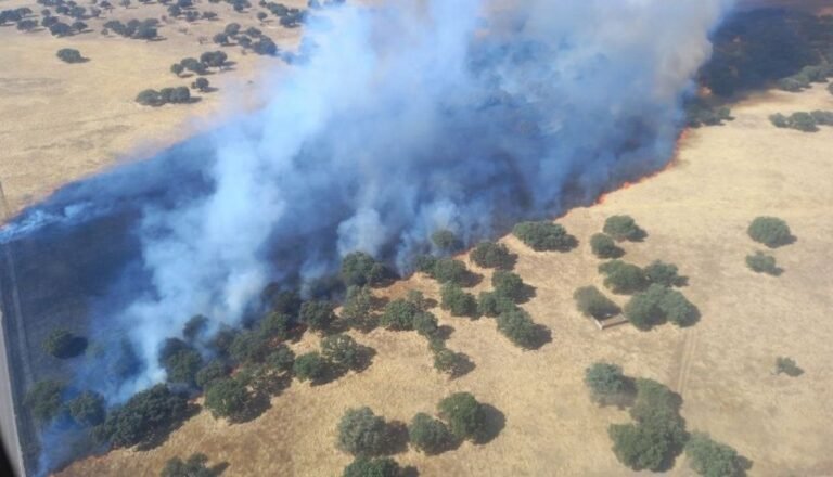 Trabajan-cerca-de-30-medios-en-la-extincion-de-incendio.jpg