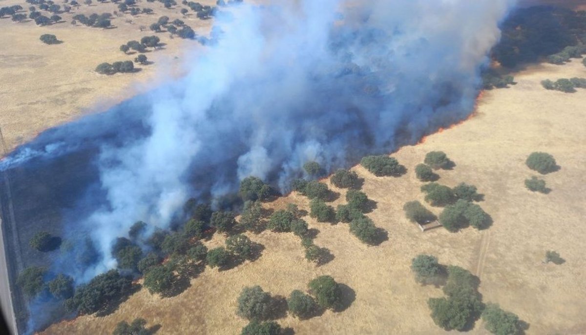 Trabajan-cerca-de-30-medios-en-la-extincion-de-incendio.jpg