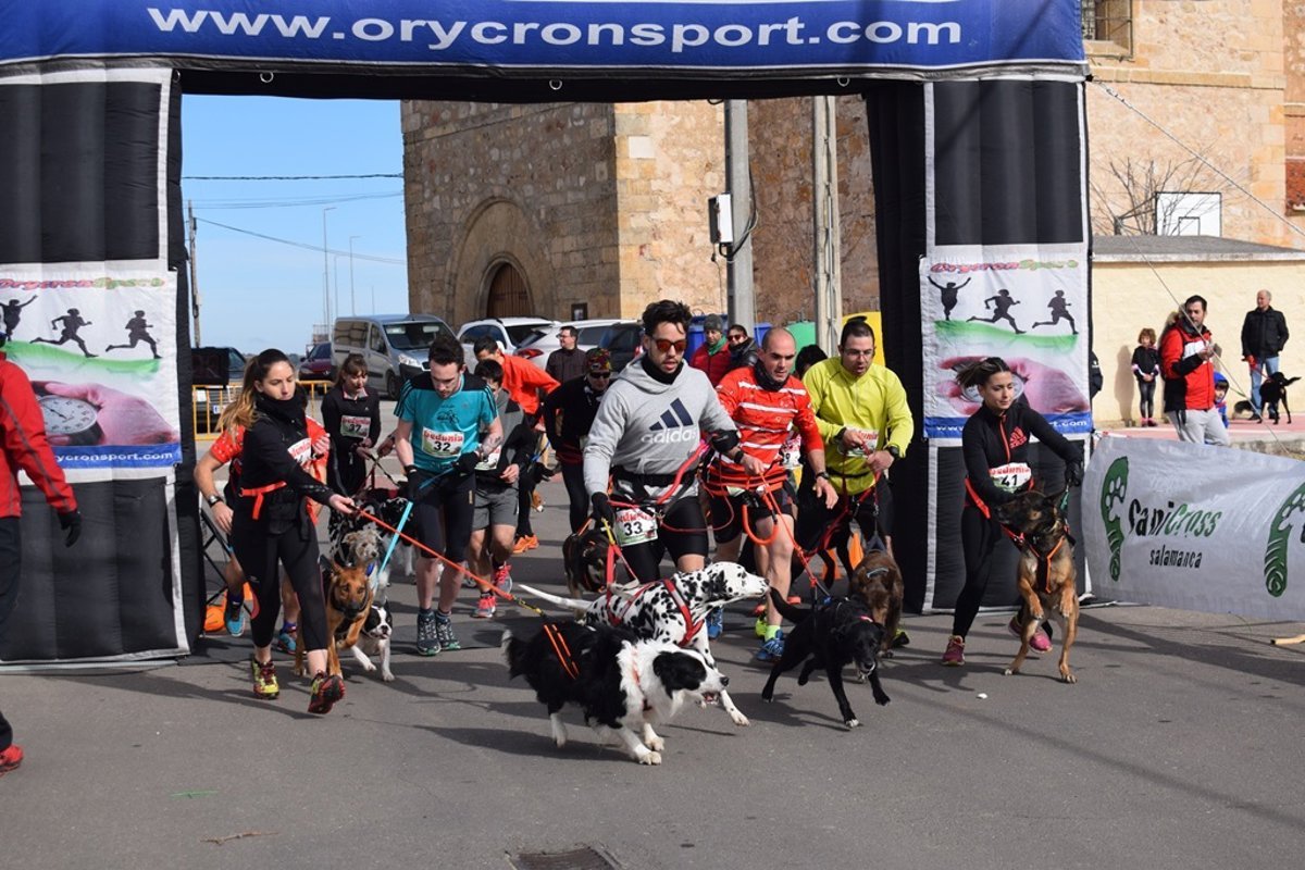 Convocan-IX-Circuito-Provincial-de-Canicross-en-Salamanca.jpg