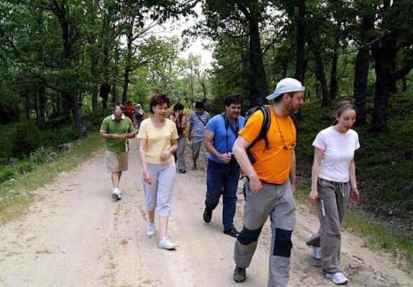 Asociación Dinámika