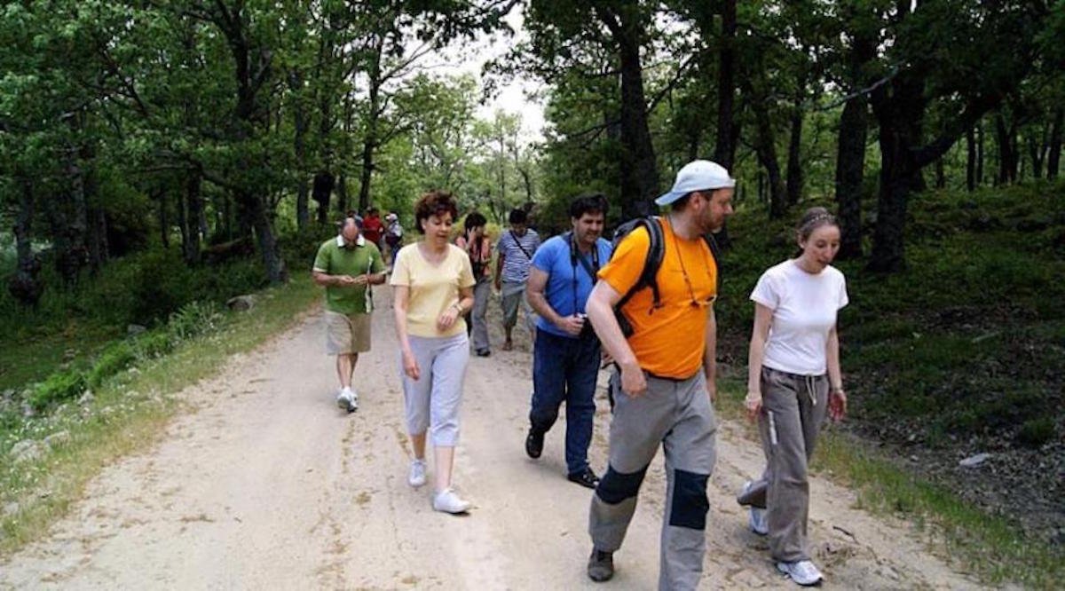 Asociación Dinámika
